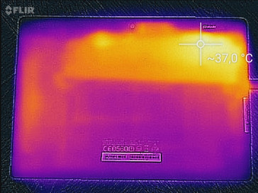 Heatmap Back