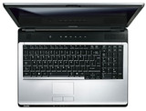 Toshiba Satellite L355D-S7901