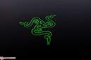 Obligatorio: El logo tribal de Razer en la tapa.