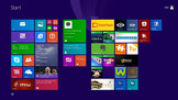 Microsoft Windows 8.1 (64-bit) preinstalado.