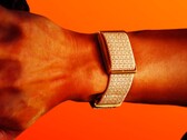 Polar compite con Whoop con una pulsera ligera que no requiere suscripción. (Fuente de la imagen: Polar)