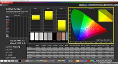 CalMAN ColorChecker (espacio de color objetivo P3)