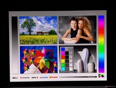 Amplios ángulos de visión OLED