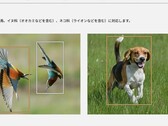 Estas dos fotos, entre otras de la página de producto de la Lumix S9, iniciaron la polémica (Fuente de la imagen: Panasonic)
