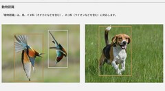 Estas dos fotos, entre otras de la página de producto de la Lumix S9, iniciaron la polémica (Fuente de la imagen: Panasonic)