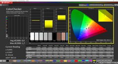 CalMAN ColorChecker (Perfil: P3)