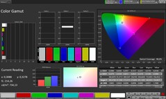 Espacio de color CalMAN