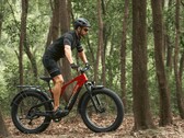 La bicicleta eléctrica Vanpowers GrandTeton-Pro tiene un motor de 750W. (Fuente de la imagen: Vanpowers)