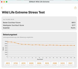 prueba de estrés extremo 3DMark Wildlife