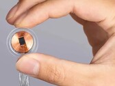 Un chip cerebral Neuralink (Fuente de la imagen: Neuralink)