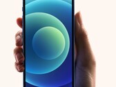 Apple Los problemas de respuesta del iPhone 12 mini frente al tacto, según lo revelan múltiples informes de usuarios al 16 de noviembre (Fuente: Apple)