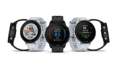 El Forerunner 955 está disponible en versión de cuarzo y solar. (Fuente de la imagen: Garmin)