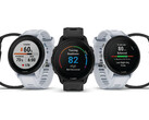 El Forerunner 955 está disponible en versión de cuarzo y solar. (Fuente de la imagen: Garmin)