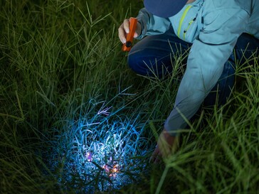 La Olight ArkPro Ultra cuenta con una luz ultravioleta para detectar manchas orgánicas.
