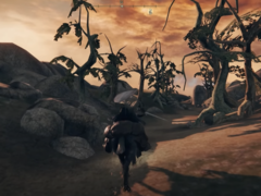 Screengrab del port en progreso de Morrowind usando Elden Ring (fuente de la imagen: InfernoPlus YT)