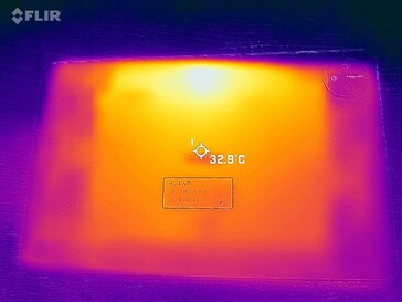 Imagen térmica trasera