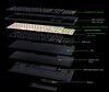Estructura interna de la BlackWidow V4 HyperSpeed TKL (Fuente de la imagen: Razer)