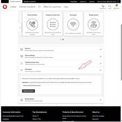 Desactivar el Homespot