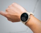 El smartwatch Garmin vivoactive 6 recibe su primera actualización beta. (Fuente de la imagen: Garmin)