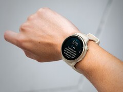 El smartwatch Garmin vivoactive 6 recibe su primera actualización beta. (Fuente de la imagen: Garmin)