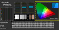 CalMAN - Color Checker (después de la calibración)