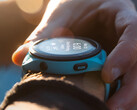 Garmin ha incorporado varias funciones nuevas al Forerunner 265 con la versión 17.24. (Fuente de la imagen: Garmin)