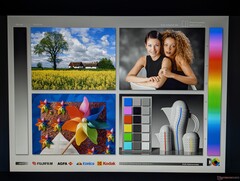 Amplios ángulos de visión IPS