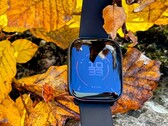 Amazfit Active en revisión