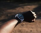 Garmin lanza la versión de software 18.22 para el Forerunner 955. (Fuente de la imagen: Garmin)