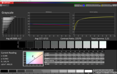 CalMAN Escala de grises