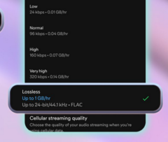 Un YouTuber probó el audio sin pérdidas de Spotify y lo encontró deficiente (fuente de la imagen: Spotify)