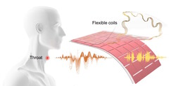 Ingenieros de la UCLA crean un parche para traducir el habla muda, los movimientos musculares de la garganta en habla audible. (Fuente: artículo de Ziyuan Che et al.)