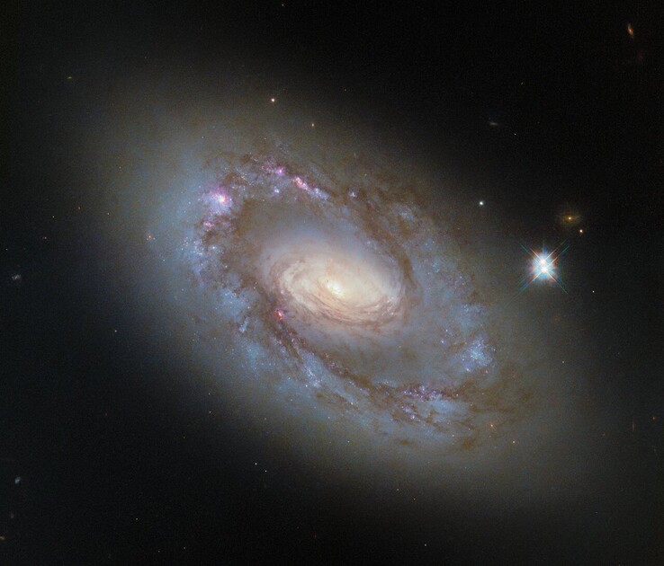 La imagen del Hubble de NGC 4102 (Fuente de la imagen: ESA/Hubble, NASA y G. Fabbiano)