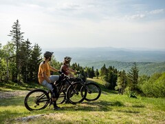 La bicicleta eléctrica Devinci E-Troy Bosch tiene un motor con un par motor de 85 Nm. (Fuente de la imagen: Devinci)