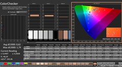 Calman: ColorChecker (calibrado)