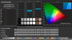 CalMAN: ColorChecker (calibración)