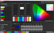 CalMAN: Espacio de color - Modo pantalla: Adaptable, espacio de color de destino AdobeRGB