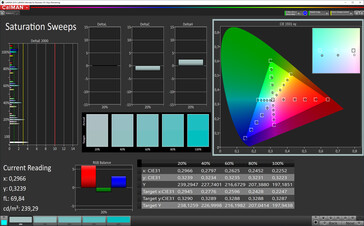 CalMAN: Saturación de color - espacio de color de destino sRGB; perfil de color estándar