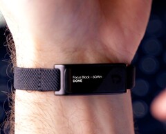 Actualmente, la Jaye Band está recaudando fondos en Kickstarter.