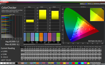 CalMAN: Precisión de color - espacio de color objetivo sRGB