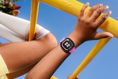 Google está desplegando una importante actualización para el Fitbit Ace, que por el momento sólo está disponible en EE.UU. (Fuente de la imagen: Google)