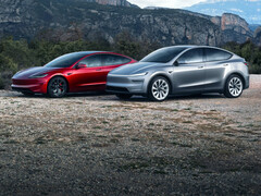 Tesla Model 3 y Model Y