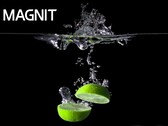 La serie MAGNIT tiene un nuevo miembro. (Fuente: LG)