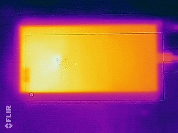 mapa de calor trasero