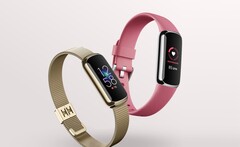 El Fitbit Luxe ahora es compatible con las mediciones de AoD y SpO2. (Fuente de la imagen: Fitbit)