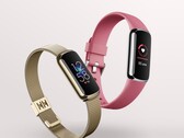 El Fitbit Luxe ahora es compatible con las mediciones de AoD y SpO2. (Fuente de la imagen: Fitbit)