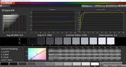 CalMAN escala de grises – Adobe RGB