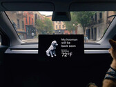 El Robotaxi puede ser el cibercabina personal de un perro (Fuente de la imagen: Tesla)