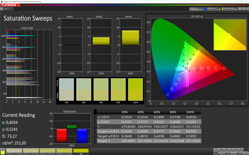 CalMAN: Saturación de color - espacio de color objetivo sRGB
