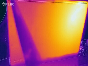 Temperaturas superficiales en la prueba de esfuerzo (atrás)